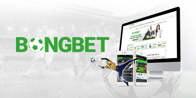 Yêu cầu để trở thành nhà phân phối 85Bet - 85Bet