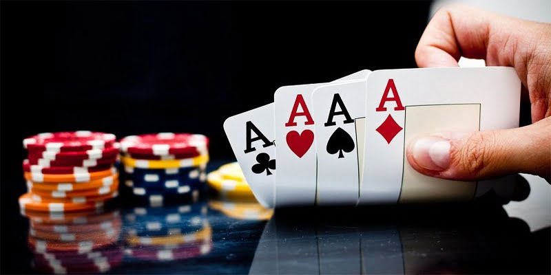 Đấu trường đá gà trực tuyến phổ biến nhất của Vn777 - Vn777