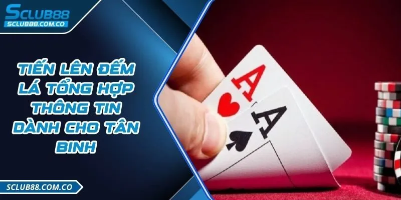 Các máy chủ được xếp hạng Fabet có lợi thế rất lớn trong việc thu hút người chơi - Fabet