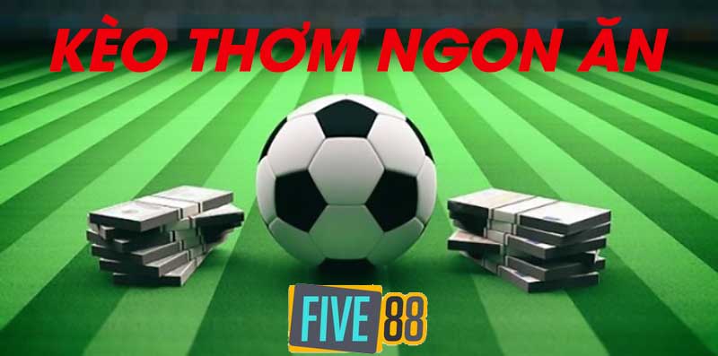 Tại sao nên đặt cược vào các trận đấu bóng đá cấp độ Hi88? - Hi88