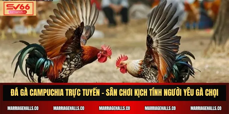 Một tính năng quan trọng khiến các game thủ cấp độ Win789 càng trở nên phổ biến hơn - Win789