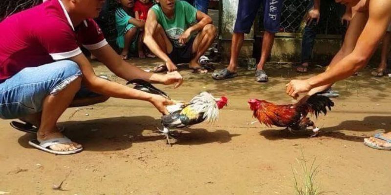 Giới thiệu trò chơi máy đánh bạc 1Xbet - 1Xbet