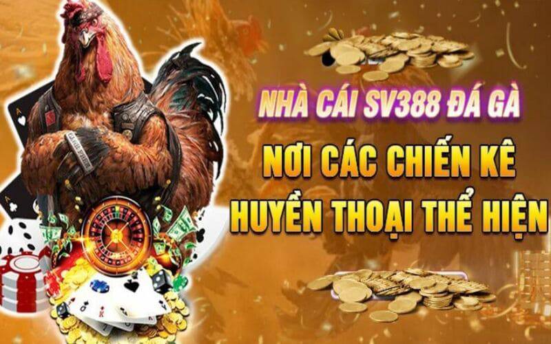 Cách sử dụng tài khoản Max88 - Max88
