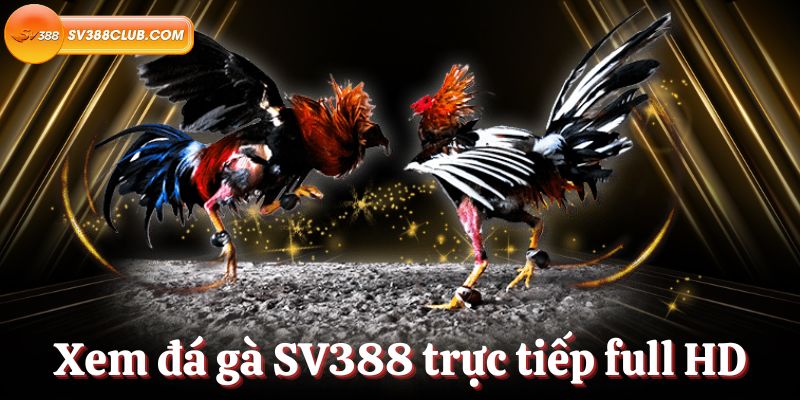 Hướng dẫn đăng ký và đăng nhập vào V9bet - V9bet