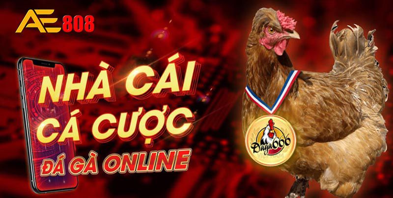 Tôi có thể được thăng cấp lên cấp độ 123Bet bằng cách nào? - 123Bet