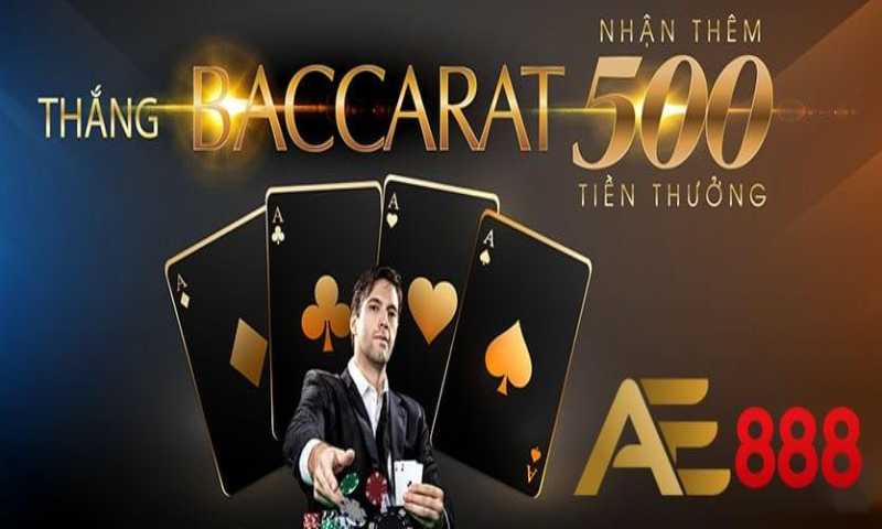 Hiện có những hình thức cá cược nào dành cho các trận đấu đá gà cấp độ Nbet88? - Nbet88