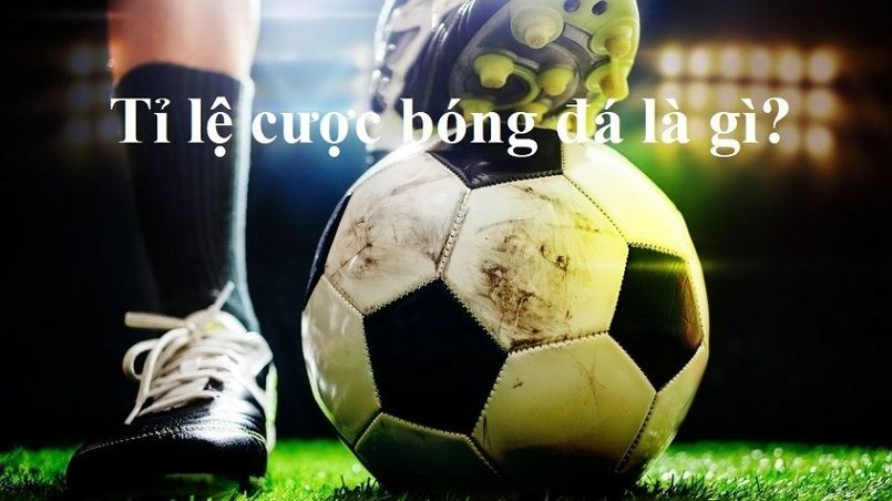 Tổng quan về cổng game thẻ bài trực tuyến Fb88 - Fb88