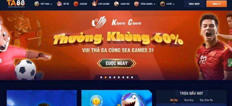 Những điều cần lưu ý khi đăng nhập vào Stake và đăng ký chơi game đá gà người thật SVV388 - Stake