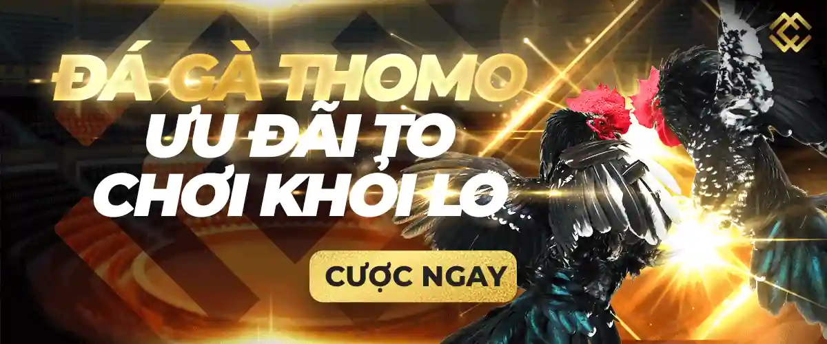 Tải xuống APK Ds99 cho Android, iOS và PC - Ds99