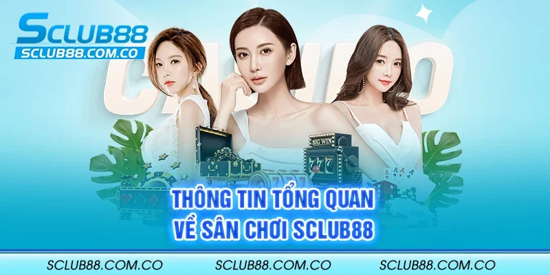 Hệ thống trò chơi cấp Iwin phổ biến nhất - Iwin