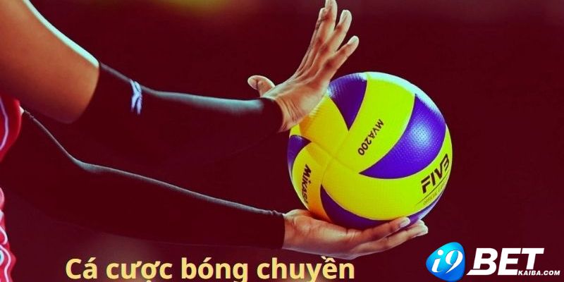 Giao diện trang web của 68Win rất hấp dẫn - 68Win