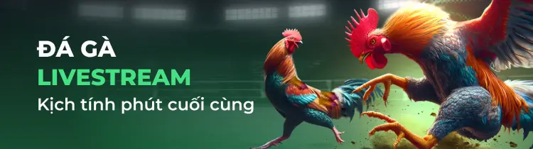 Giới thiệu phòng chờ trực tuyến cấp độ 777King - 777King
